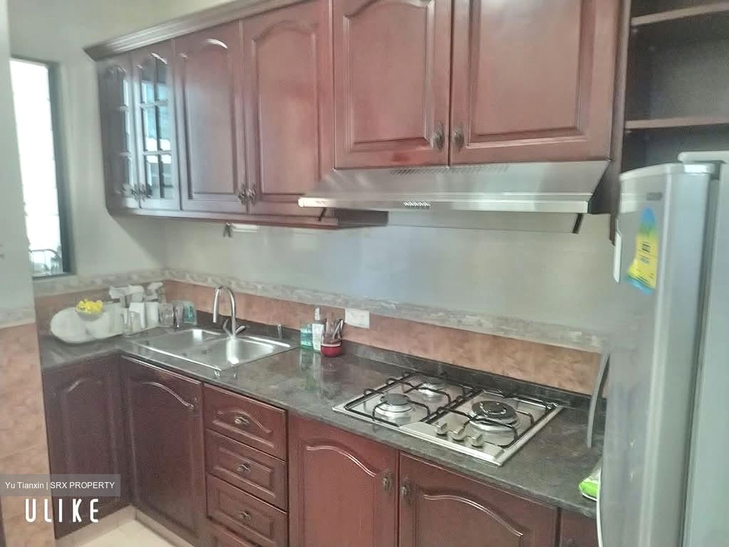 Tanglin Regency (D10), Condominium #605496481